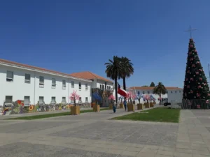 Primer y Segundo Juzgado de Policia Local de Puente Alto
