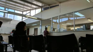 Juzgado de Policia Local de la Reina